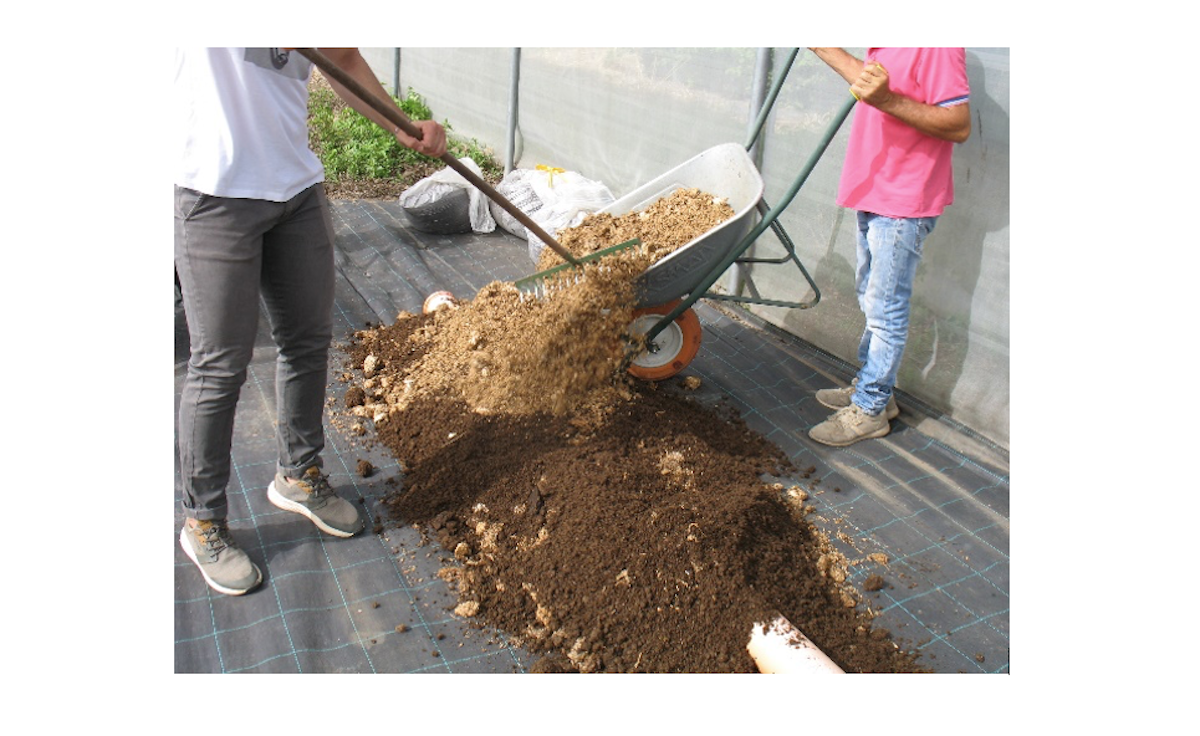 Figura 1 - Preparazione del cumulo di compostaggio con il digestato (più scuro) e le ballette da funghicoltura contenenti cardo previamente frammentate